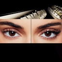 Loreal Paris Voluminous Panorama Mascara