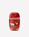 Bath and Body Works Pumpkin Apple PocketBac